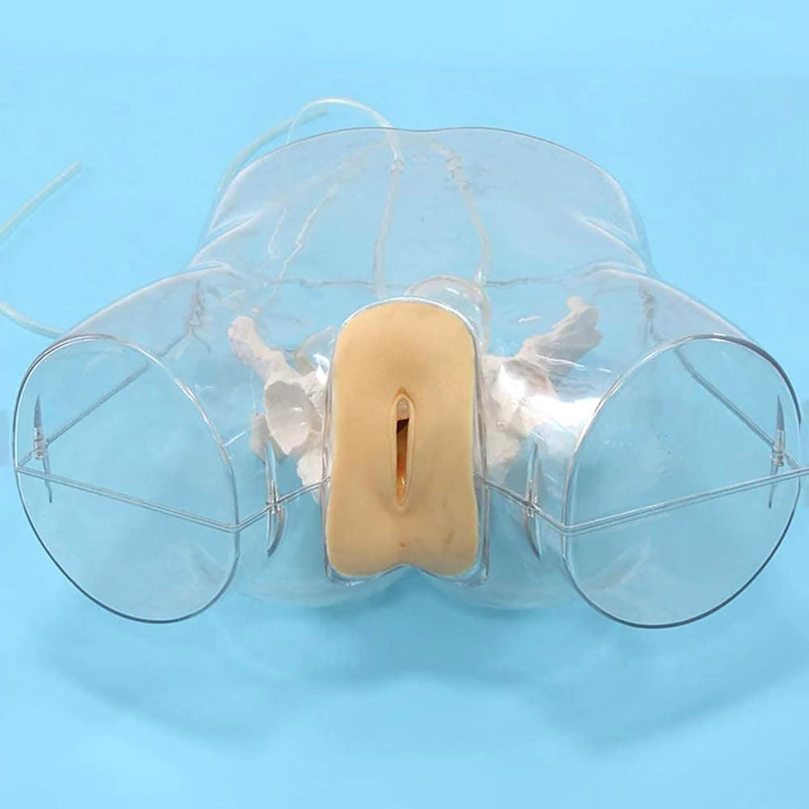 Human Teaching Model, Advanced Catheterization Model Female Teaching Model, Teaching Model, Transparent urethral Catheterization and Scraping Model, for Training Assistance
