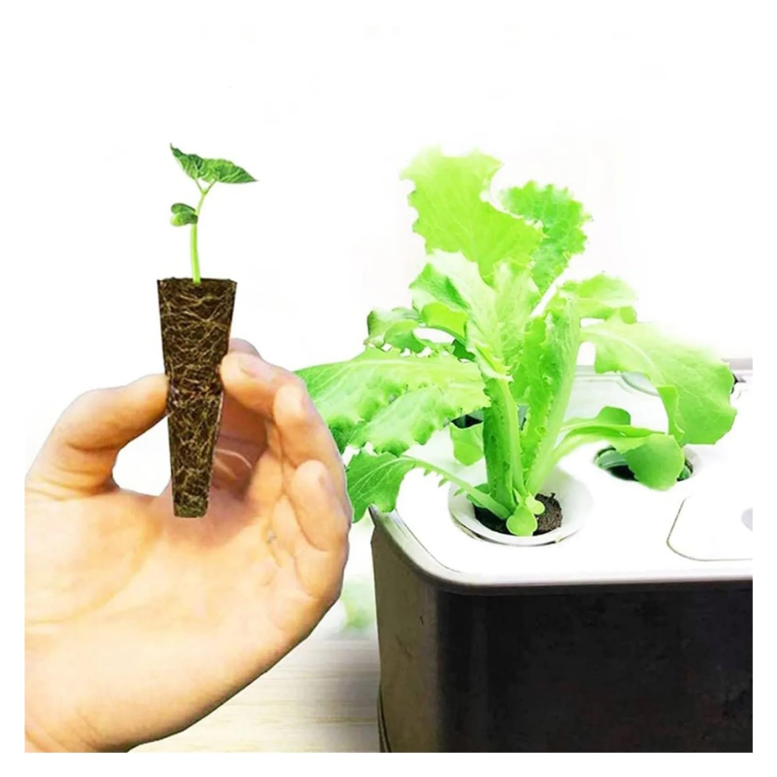 Gąbki do uprawy hydroponicznej, 30pcs Multicolor Hydroponic Grow Sponges Seed Starter Root Growth Plugs(Color 1)