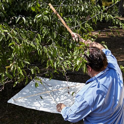 Forestry Suppliers Beating Sheet, 28? x 28?