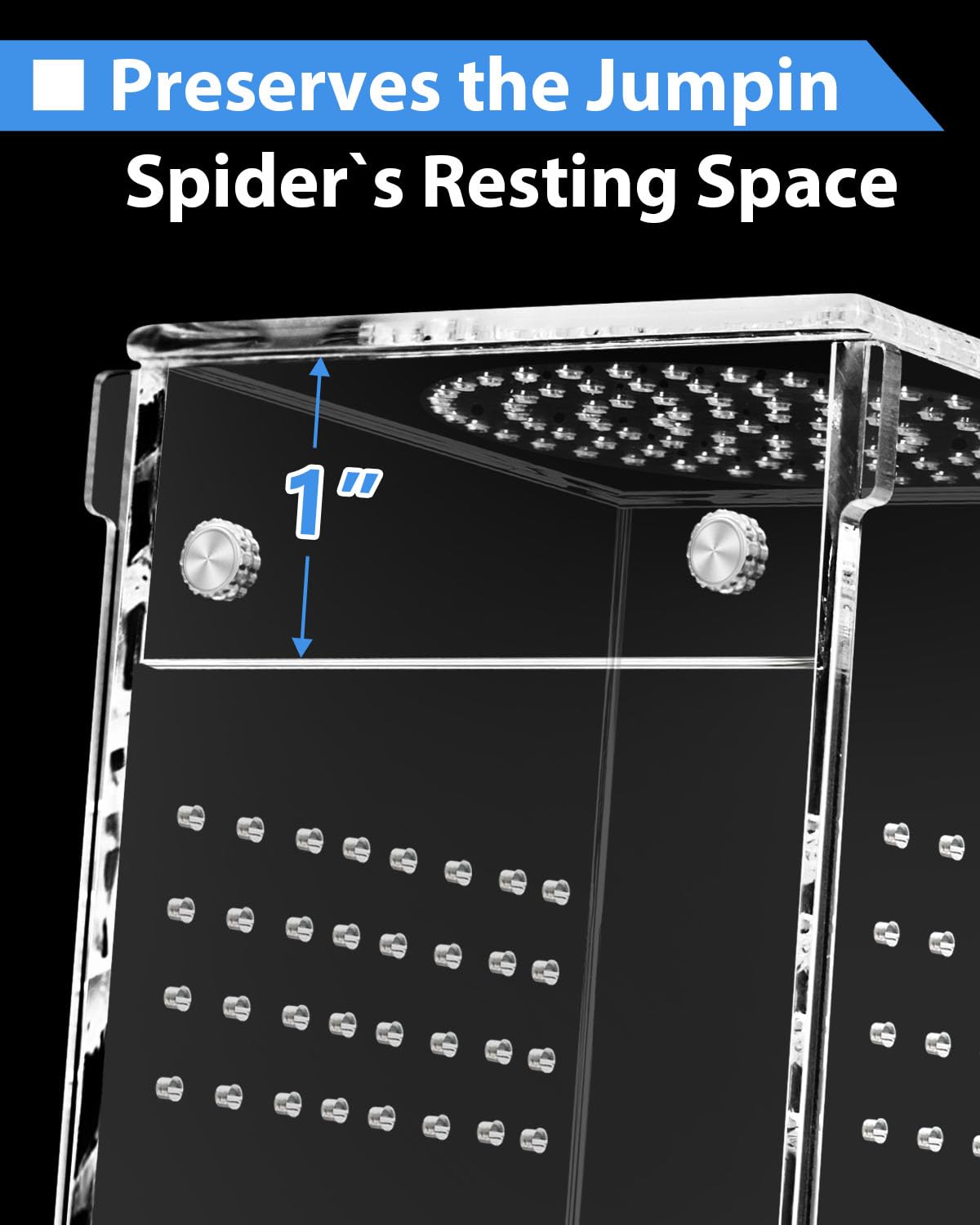 Jumping Spider-Enclosure - Mini tarántula de 3 x 3 x 6 Pulgadas, pequeño terrario de Accesorios de araña, acrílico de Transparencia Completa, Caja de Tortuga para Juegos Infantiles, terrario de