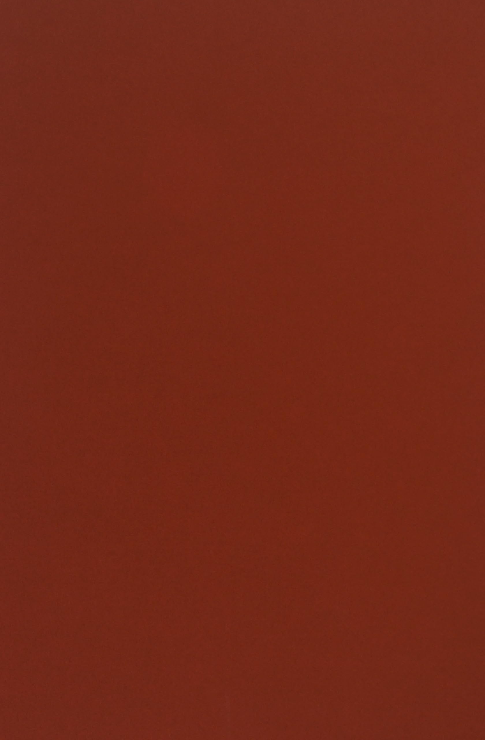 Netuno 100 Sheets cardstock Burano A4 Indian red Rosso Indiano 250 g/m² — image 1
