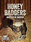 Honey Badgers: Masters of Mayhem