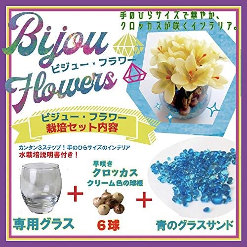 Amazon 早咲きクロッカス水栽培セット 球根6球 専用グラス 青のグラスサンド 球根の品種名はクリームビューティ 水耕栽培 かわいい インテリア 球根 Amazon 早咲きクロッカス水栽培セット 球根6球 専用グラス 青のグラスサンド 球根の品種名はクリームビューティ 水耕栽培 かわいい インテリア 球根