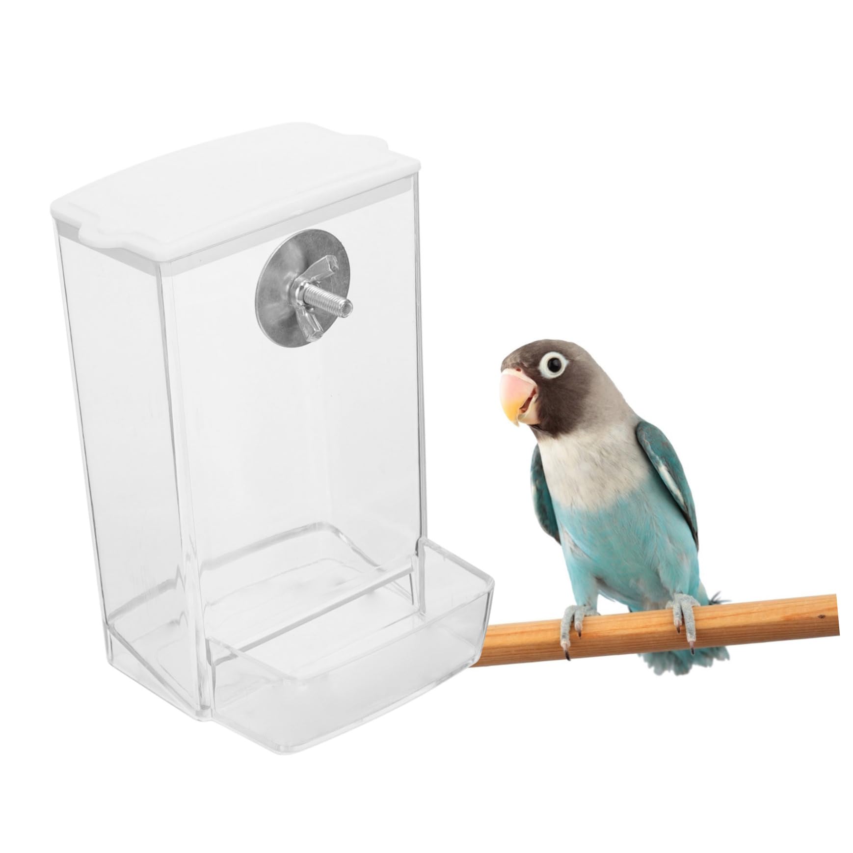 Yardwe 4 Pz Scatola Di Cibo Per Uccelli Gabbia Per Uccelli Alimentatore Automatico Porta Cibo Per Finestra Della Mangiatoia Per Mangiatoia Per Design Fibbia Pp