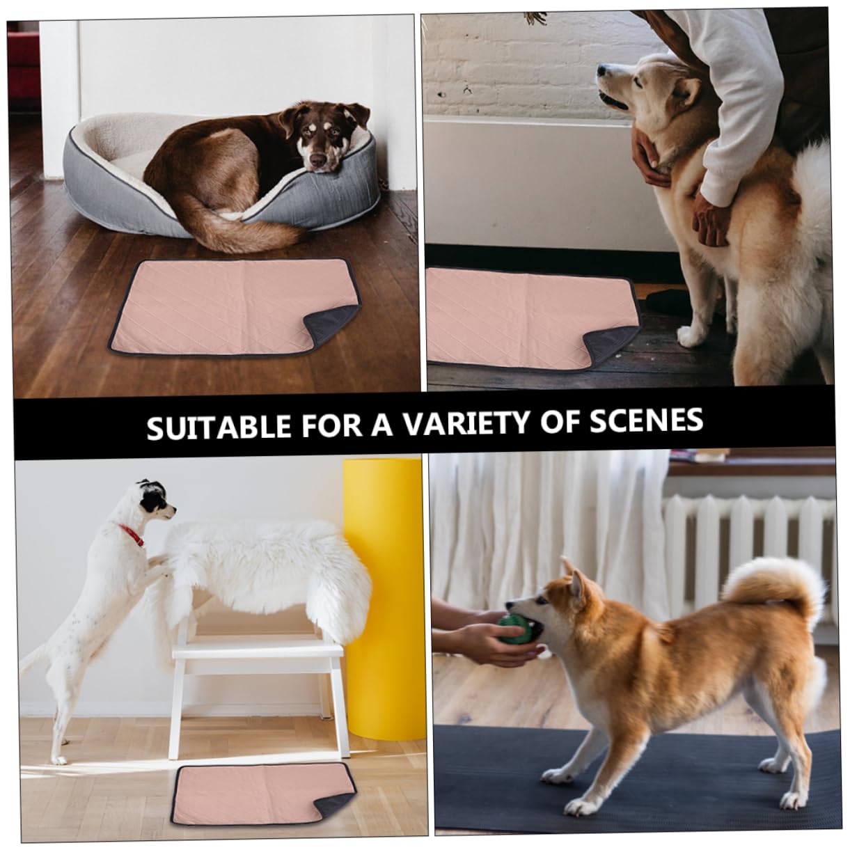 WOONEKY Tapis Absorbant pour Chiens Matelas Lavable Réutilisable pour Entraînement Propreté pour Intérieur Et Extérieur