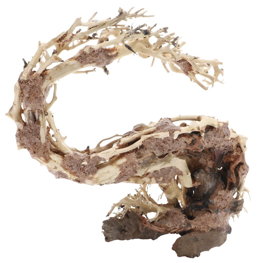 Dupla Hobby Aquaristik Wizard Root M I Natürliche Holzdekoration I Handgefertigte Einzelstücke I 30 x 13 x 23 cm