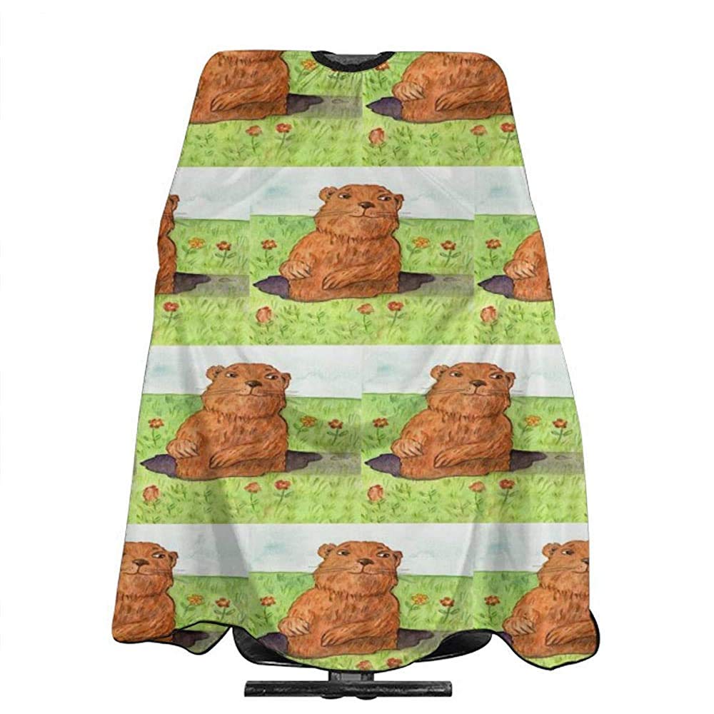 Pag Crane Hair Barber Cape Groundhog Day Professional Hairdressing Haircut Hair Styling Supplies for Women Men Kids