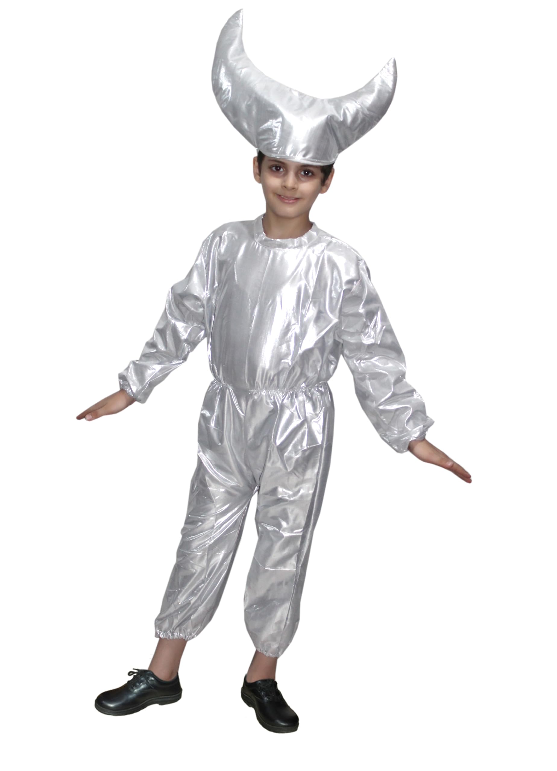 Kaku Fancy Dresses Nature Theme Moon Costume -Silver, 5-6 Years, For Boys & Girls (B01LZHJ4KQ) Amazon Price History, Amazon Price Tracker