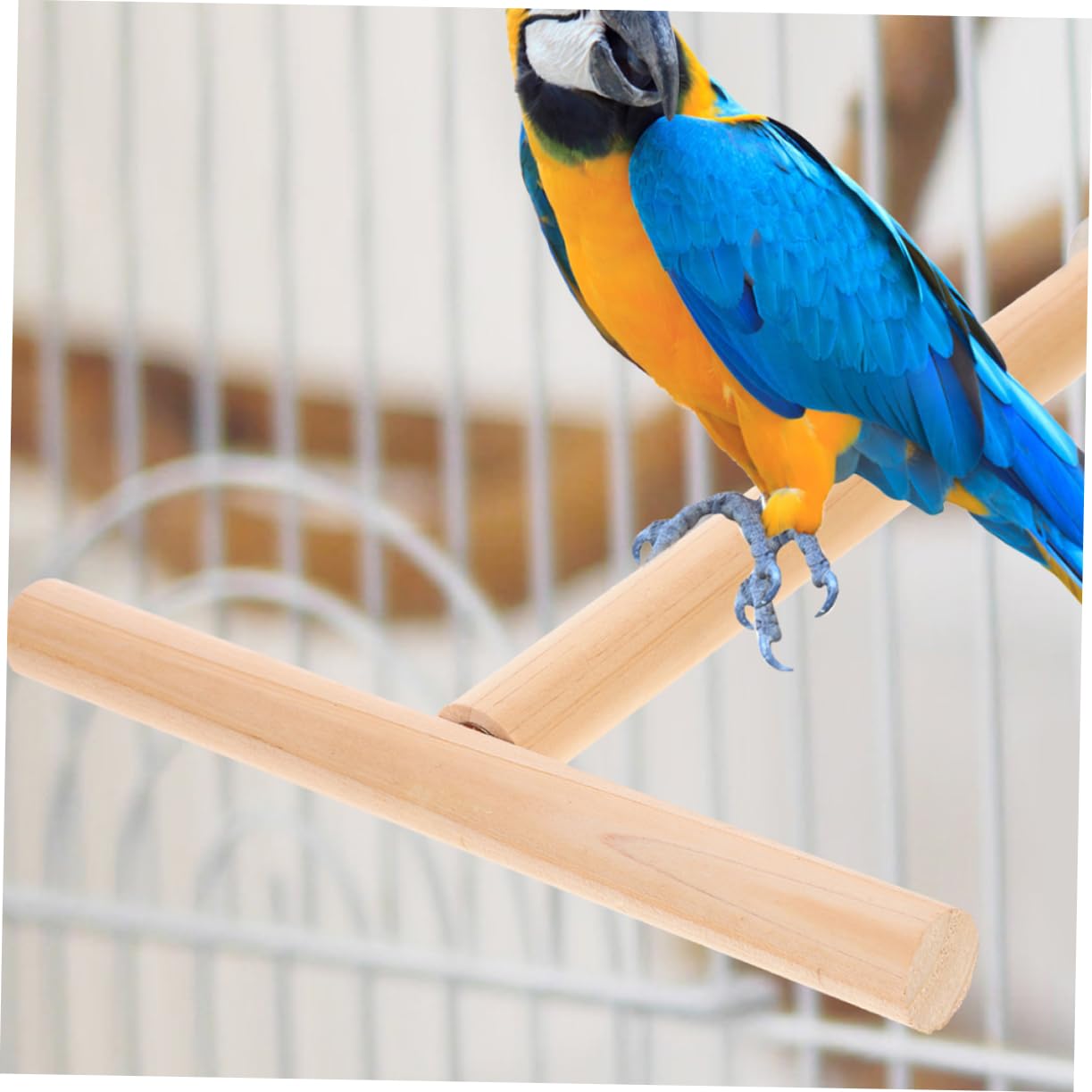 Toddmomy 8piezas Percha para Aves De Madera Natural Soporte para Periquitos y Juguetes para Pájaro para Ejercicio y Descanso