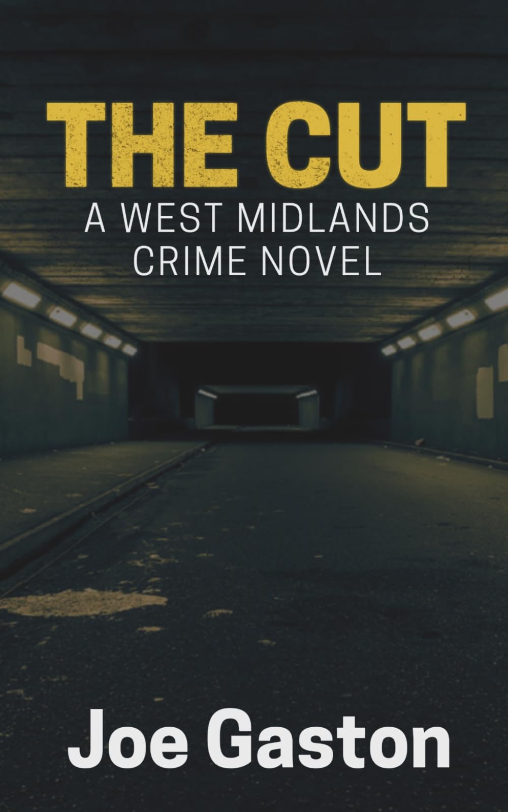 The Cut: A Gritty West Midlands Crime Novel (Ray Holder Noir Series)