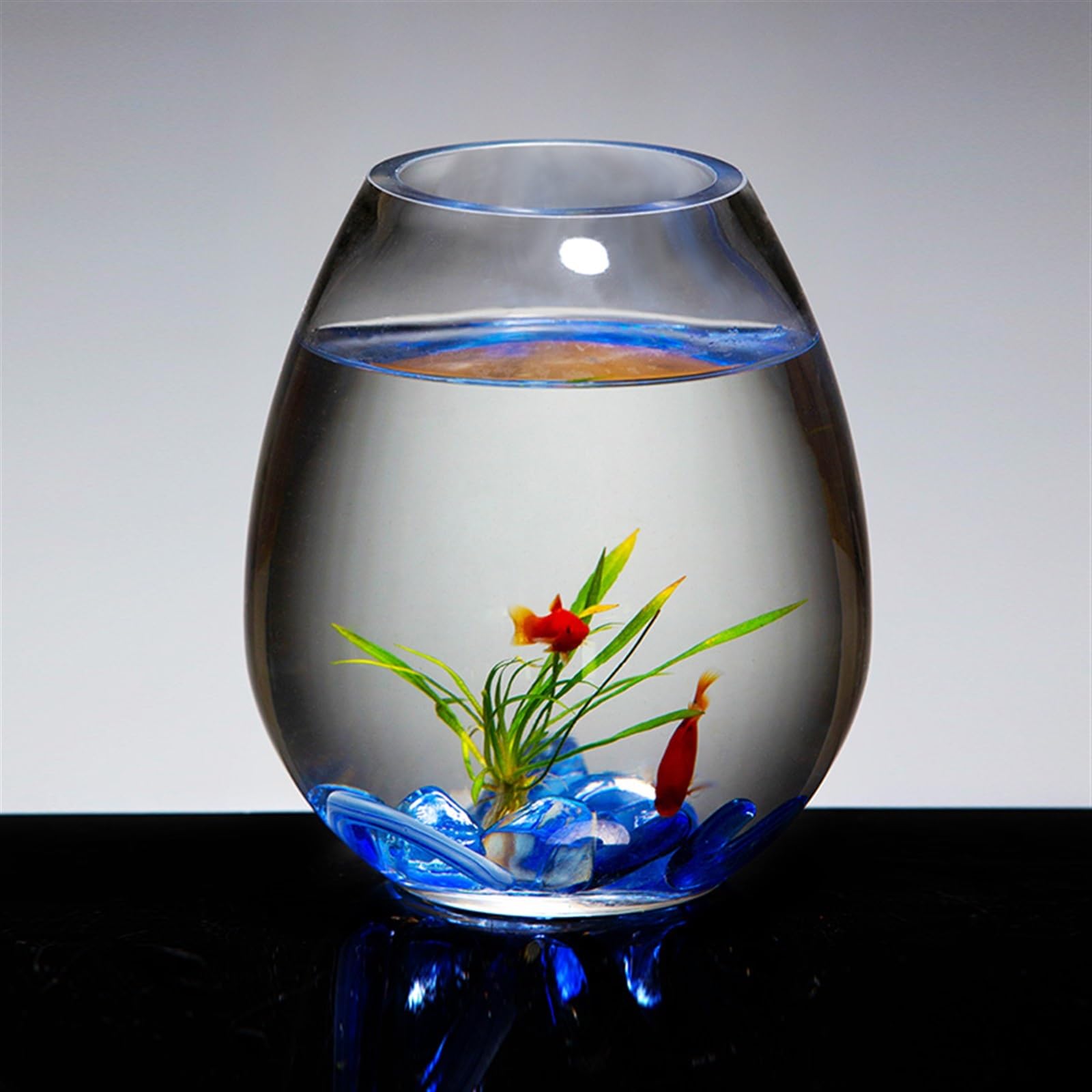 Petit aquarium en verre pour poissons rouges de combat, décoration de salon
