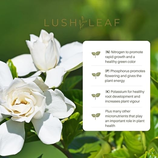 Fertilizante Líquido Lush Leaf para Gardenias miniatura 3