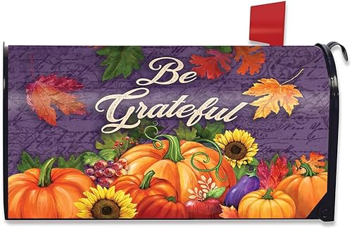 Vista 9 de Briarwood Lane Harvest Turkey Fall Magnetic Thanksgiving Buzón Cubierta Otoño Calabazas Estándar Cosecha Turquía