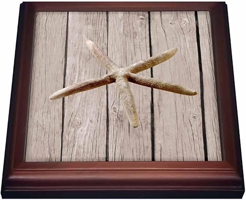 3dRose Imagen rústica de madera sintética con salvamanteles de estrellas de mar con baldosas de cerámica, 8 x 8 pulgadas, natural