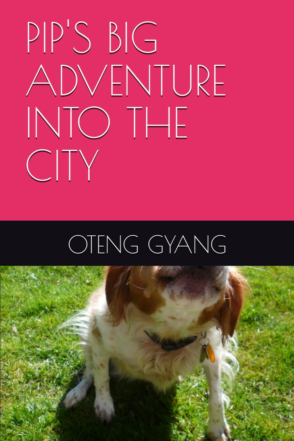 PIP'S BIG ADVENTURE INTO THE CITY (THE ADVENTURES OF PIP THE DOG)