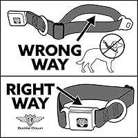 Vista 7 de Buckle-Down Collar de perro con hebilla de cinturón de seguridad, disfraz de Spider-Man a rayas azul/rojo/negro, 1 pulgada de ancho, se adapta a