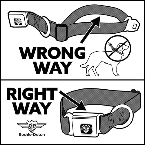 Miniatura 6 de Buckle-Down Collar de perro con hebilla de cinturón de seguridad, tamaño King of Spades, 1 pulgada de ancho, se adapta a cuello de 9 a 15 pulgadas,