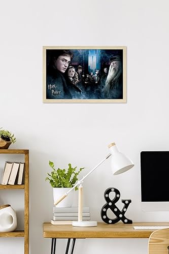 Vista 42 de Trends International Harry Potter y el príncipe mestizo - Póster de pared de la fraternidad, 22.375 x 34 pulgadas, versión premium sin marco