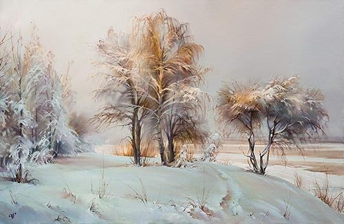 Posterazzi PDXRR63SMALL It Snowed - Impresión fotográfica (9.4 x 18.0 in), diseño de nieve