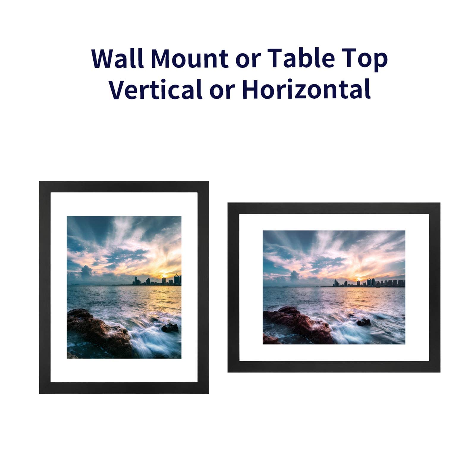 ONE WALL 16x20 Inch Floating Frame, Black Wood Double Glass Float Picture  Frame Display 16x20/11x14 Inch Photos or Plant or Petal Specimens for Wall