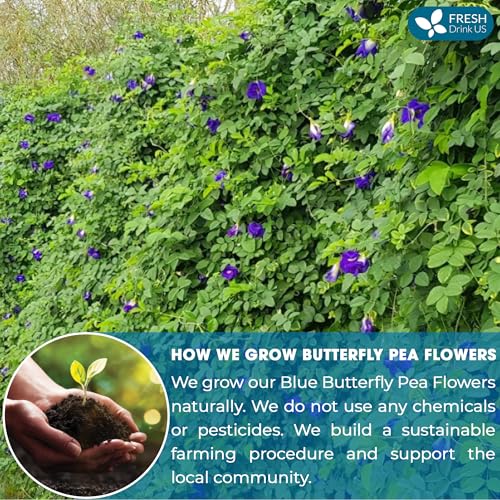 Image of FreshDrinkUS, Premium 8oz Butterfly Pea Flowers, 100% Natural & Pure from Whole Butterfly Pea Flowers Leaves, Wildcrafted, Blue Butterfly Pea Flowers Loose Leaf Herbal Tea, No Gluten, Vegan