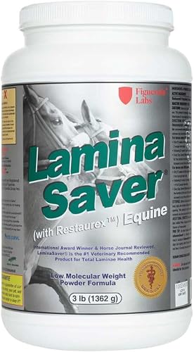 Figuerola LaminaSaver