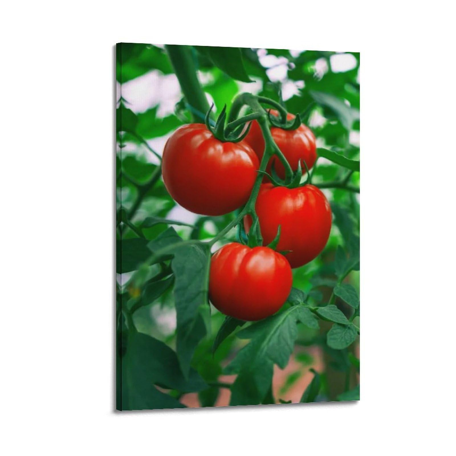 Affiche de tomates rouges sur vigne ZHOUKEG mur vide - 6