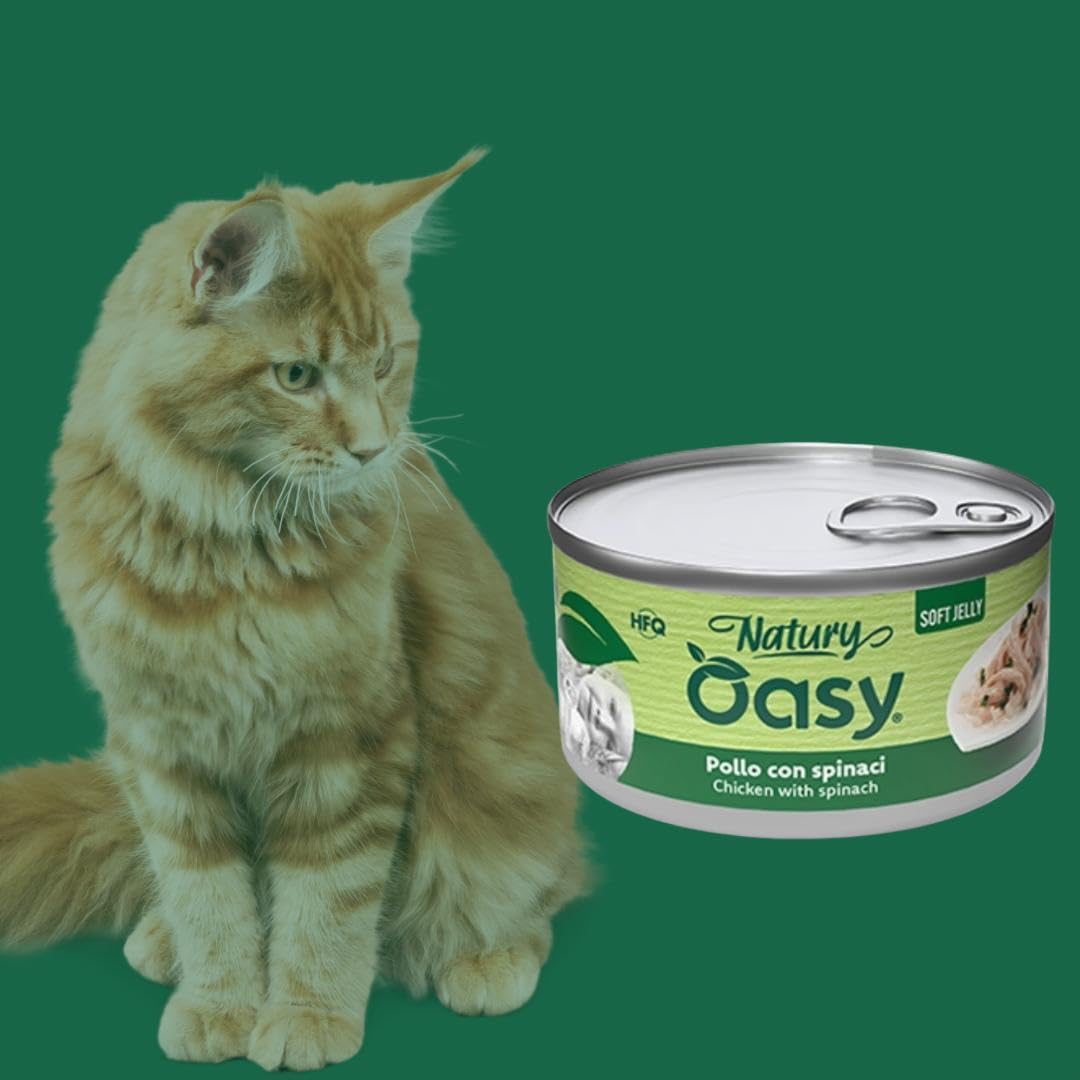 Oasy - Comida húmeda para gatos naturales con sabor a pollo con espinacas, suaves pelusas naturales de Soft Jelly para gatos adultos de todos los tamaños y razas | 24 latas de 85 gramos cada una.