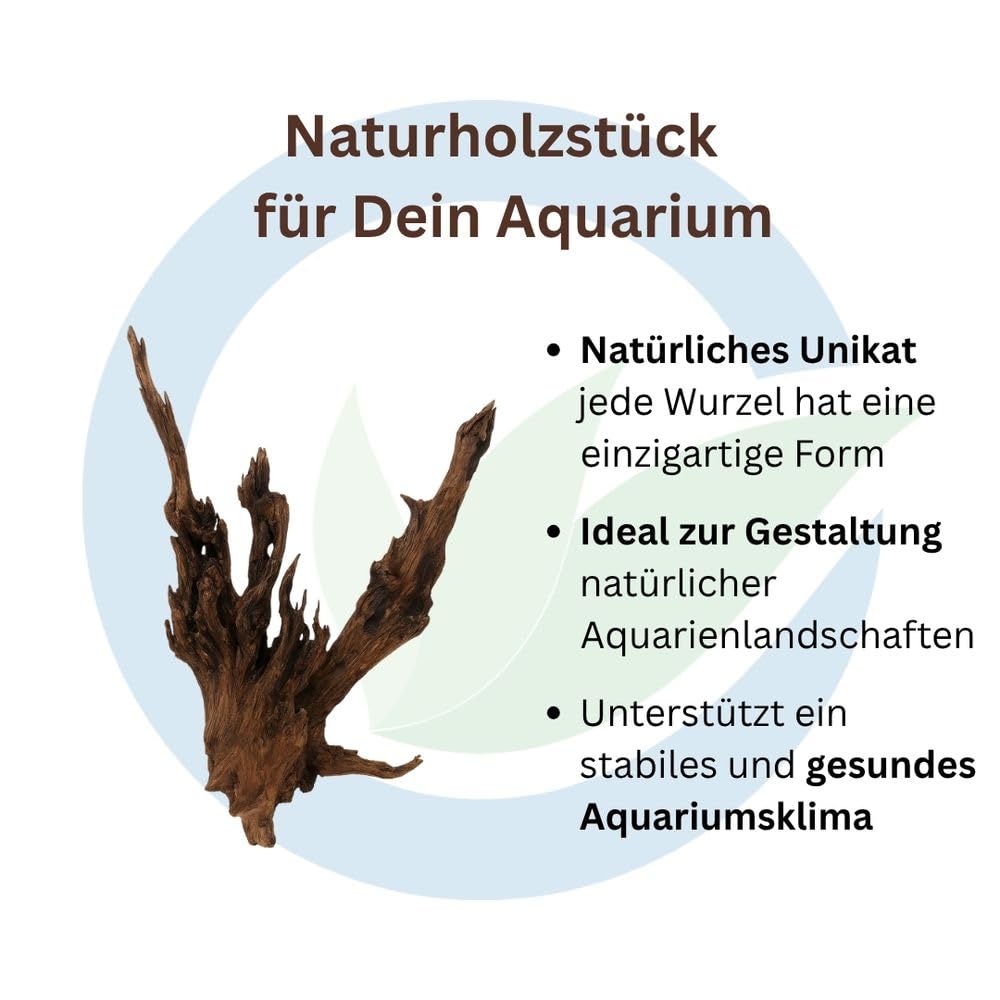 AquaOne Aquarium Wurzel Driftwood Flußwurzel XL 1 Stück Mangrove Holz Deko Aquascaping Dekoration Landschaft Moos Natur Echtholz