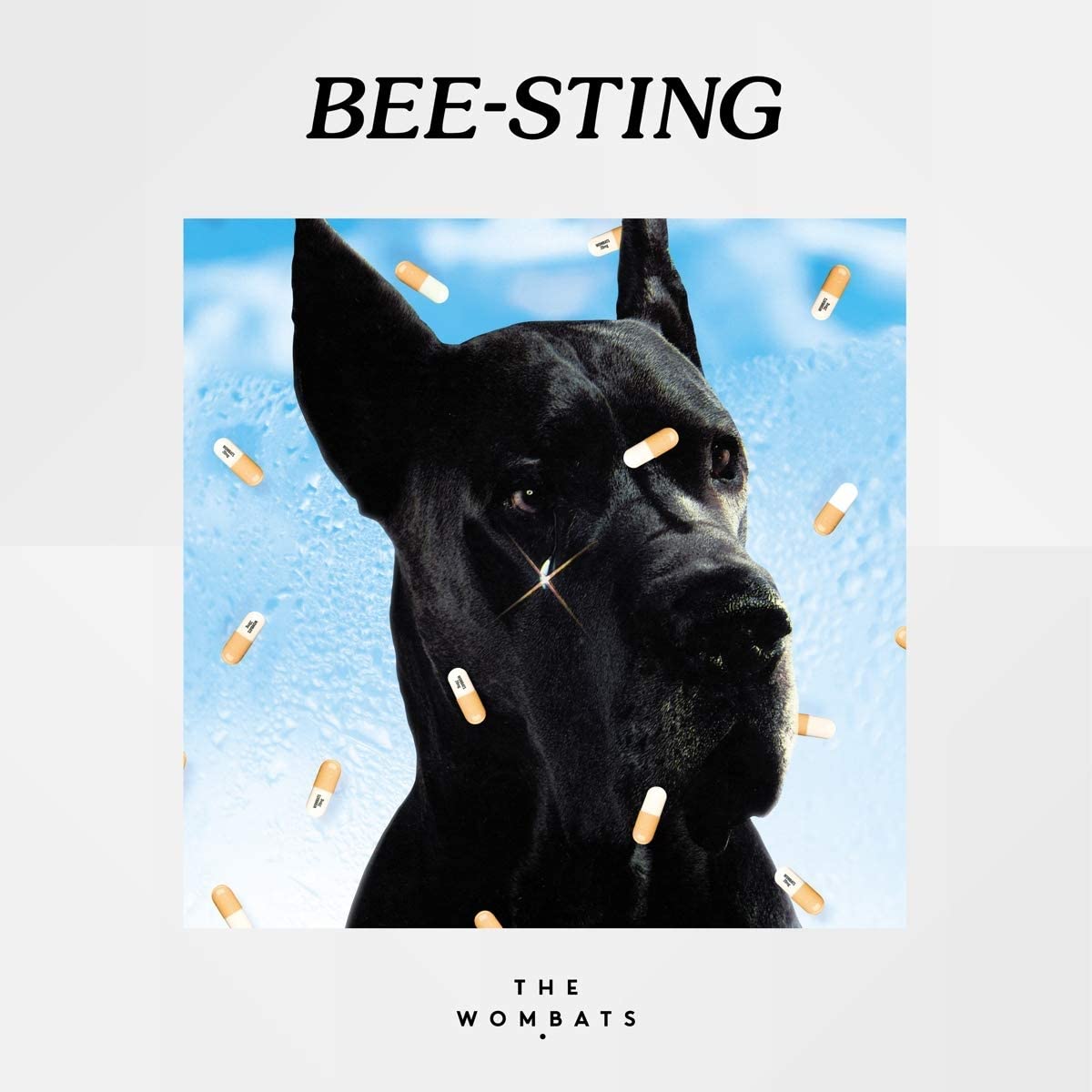 Bee-Sting [7" VINYL]