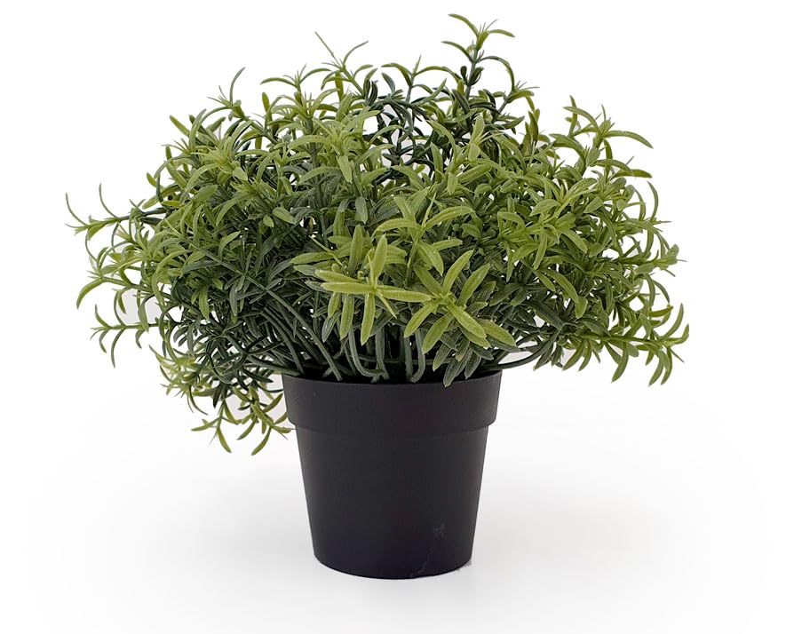 Image of PAPERI Artificial Rosemary Plants for Home Decor - Indoor Fake Rosemary Plant Flowers with Pot, Bathroom Decorations Items, Small Plastic Trees, Decoration Flower for Living Room Table, Green