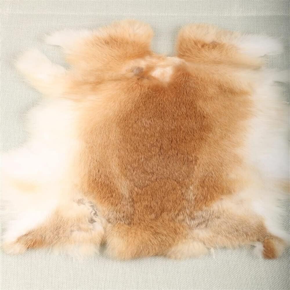 Assorted Natural Rabbit Hide Skin Fur Pelts Grade Craft with Sewing Quality Leather 10" by 14" for Decoration, Cat or Dog Toys, Sewing, or Crafting Fur Hide (5PCS Bulk), Golden