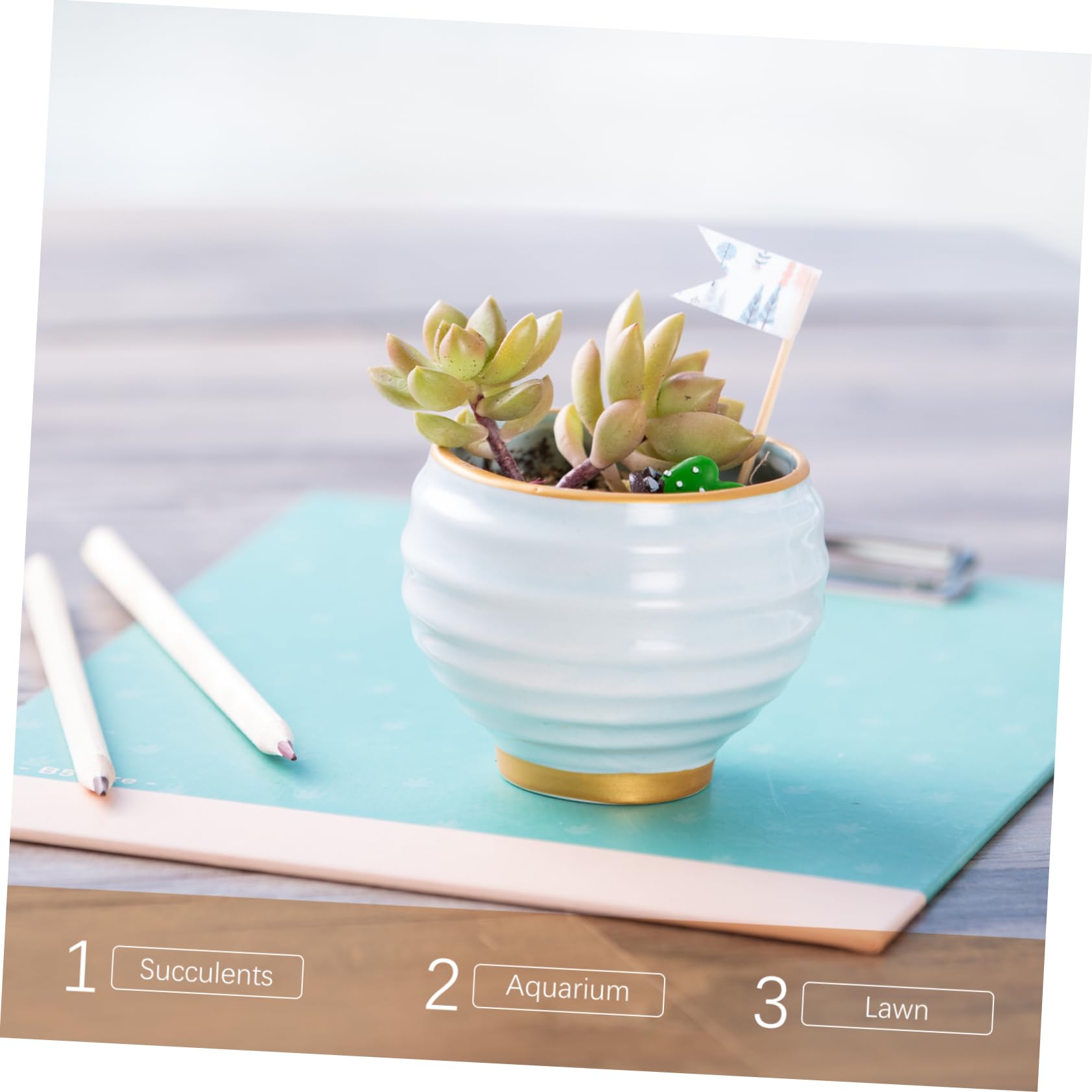 Happyyami 5taschen Maifanite Steine Für Aquarien Bonsai Und Pflanzen Dekorative Natursteine Für Terrarien Und Blumentöpfe Hochwertige Maifanite Deko-Rocks