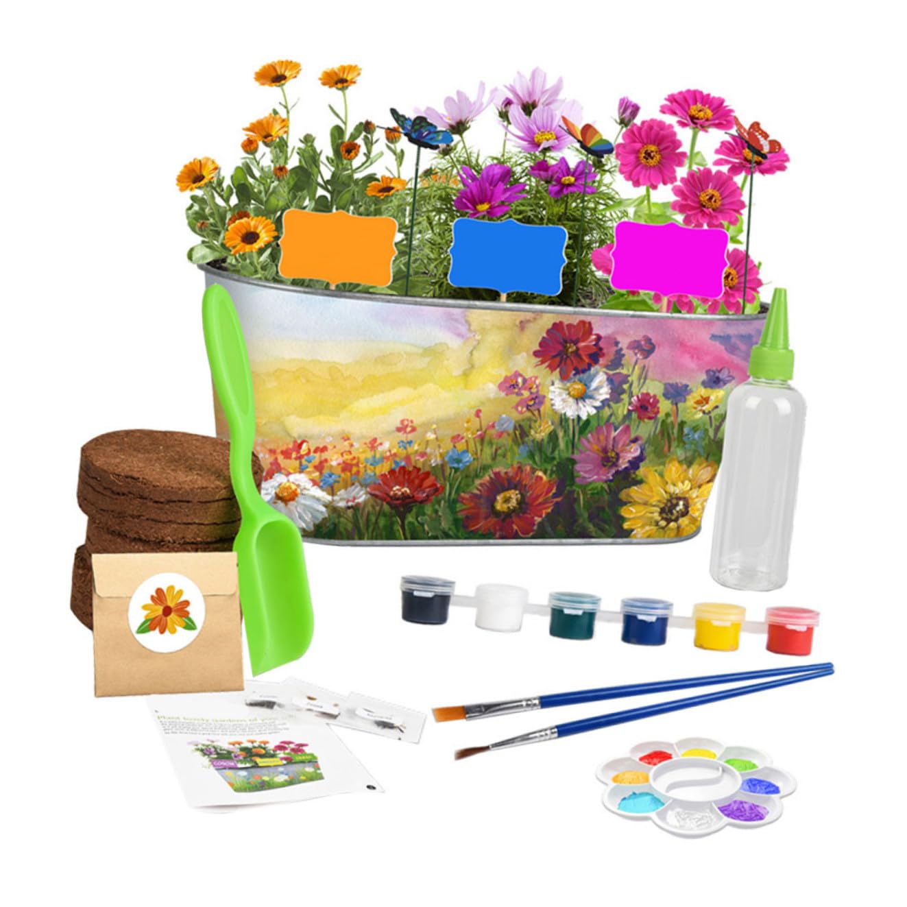 TOYANDONA Kit per Coltivazione Fiori Ragazzo Ragazza Vasi Ferro Dipinti Utensili Piantare Decorazione Casa Esterno Tutorial Included Semina Fiori Pittura Vasi Regalo Creativo