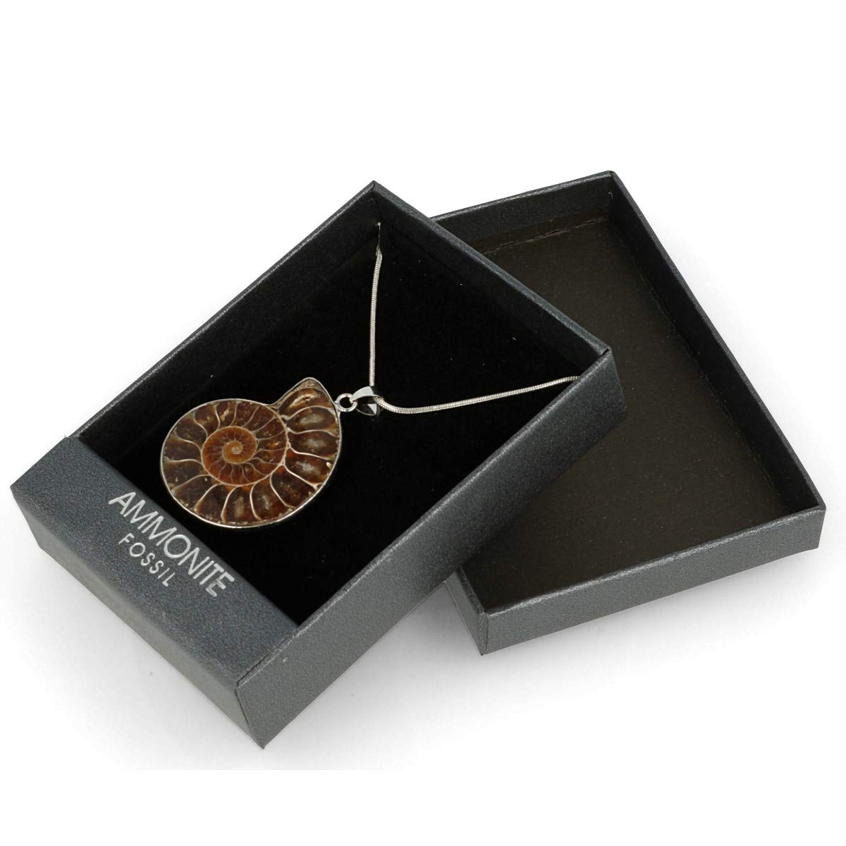 Serafino Collana con ciondolo a forma di ammonite in confezione regalo con cristalli di guarigione e gioielli fossili di milioni di anni
