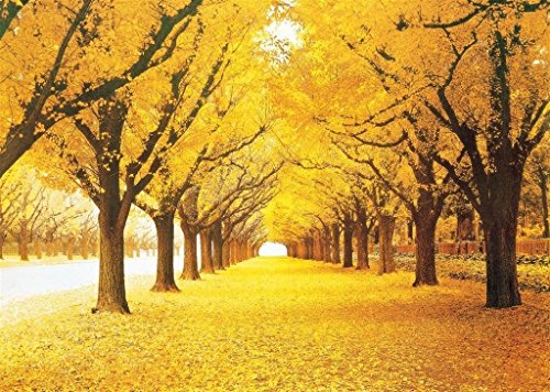 QueenieÂ® Stained Art 1000 Piece Autumn Golden Yellow Forest Ginkgo Trees Fallen Leaves Fall Deciduous Landscape Adults Games Wooden Jigsaw Puzzles for Christmas Birthday Gifts