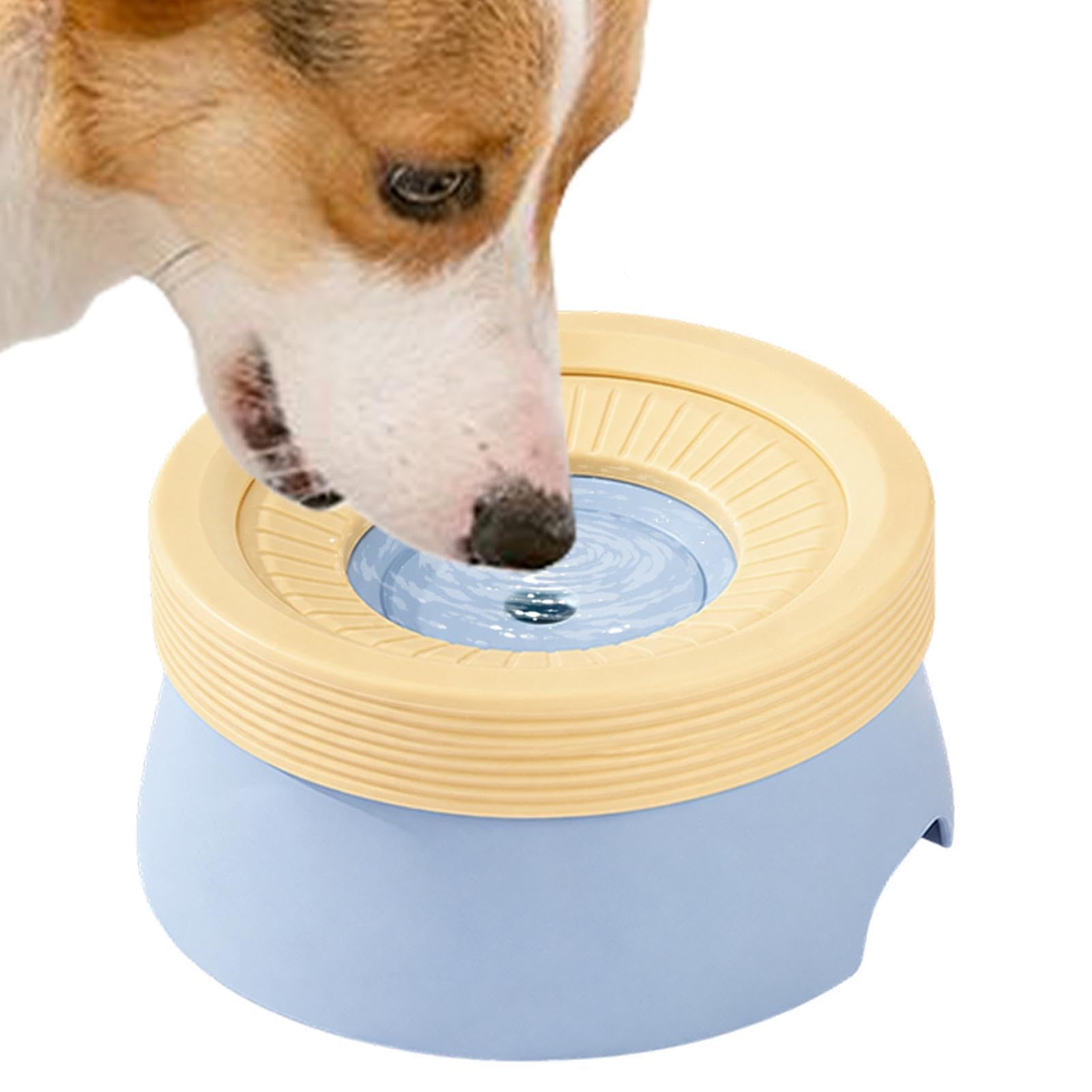 Gamelle d'eau animaux intérieur extérieur anti-débordement pour grand chien