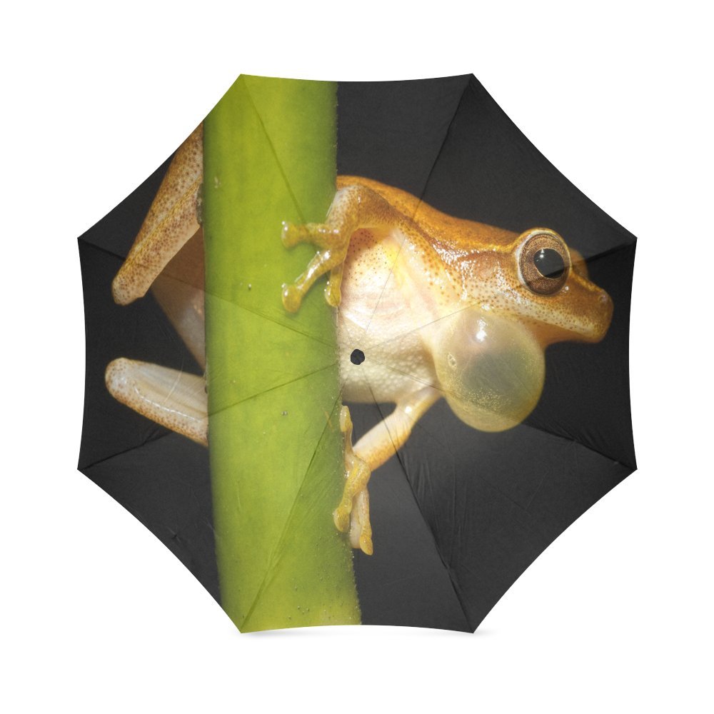 foldable UmbrellaCustom Cute Tree Frog Compact Travel Windproof Rainproof