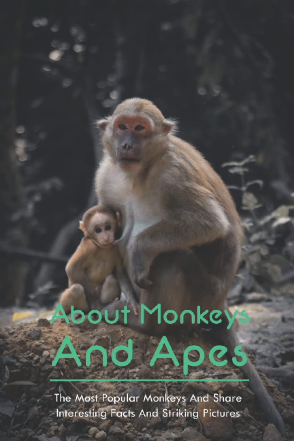 About Monkeys And Apes: The Most Popular Monkeys And Share Interesting Facts And Striking Pictures