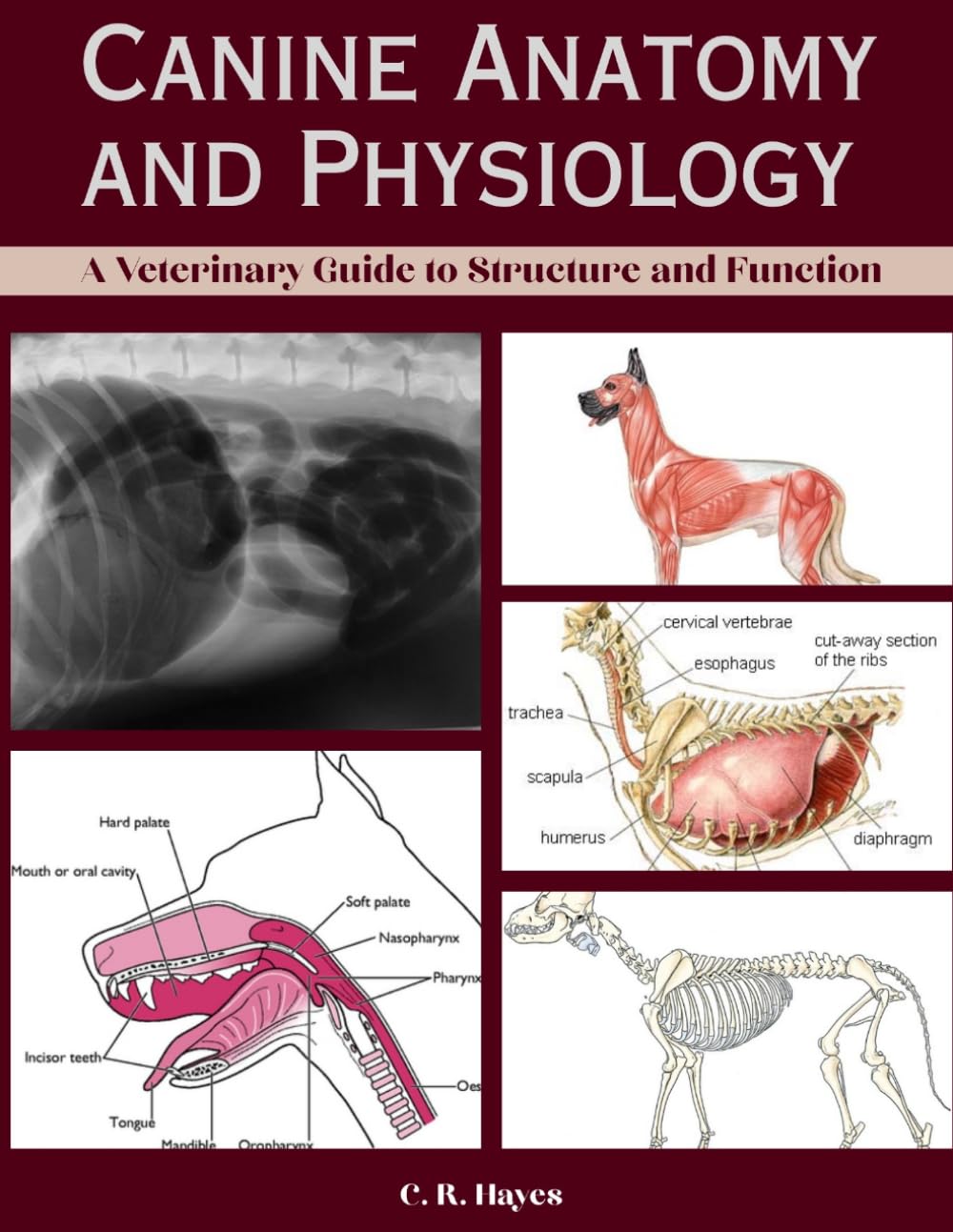 CANINE ANATOMY AND PHYSIOLOGY: A Veterinary Guide to Structure and Function