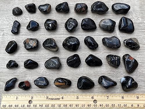 Image of GAF TREASURES 1 /2 LB Black Onyx Tumbled Stones, Polished Natural Black Onyx Gemstone, Black Onyx Healing Crystals (Black Onyx)