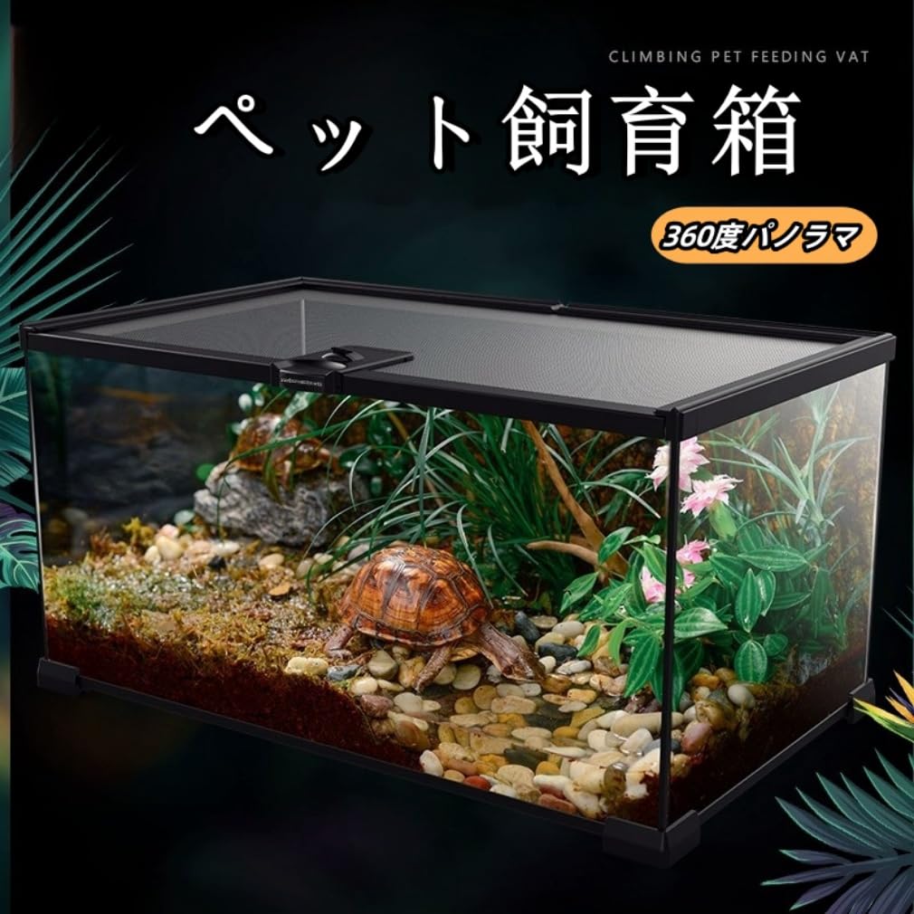 Amazon | haoyunjianjiak 爬虫類ケージ グラステラリウム 爬虫類 飼育