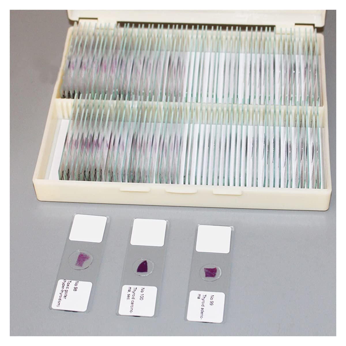 Microscope Observation 100 PCS Microscope Slides for Biology Research