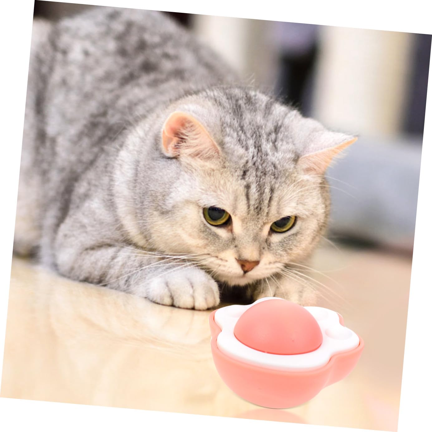 BESPORTBLE 12pièces De Laitance pour avec Herbe à Chat Jouet Interactif Édible pour