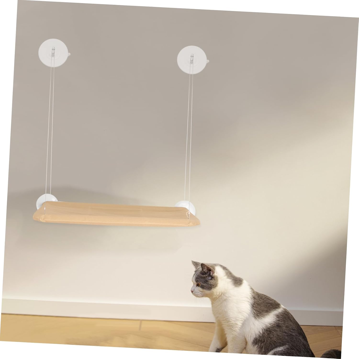 8pcs Cat Window Perch Cup Kit High-Strength Transparent Cups for Cats Space-Saving Window Bed Accessories Easy to Install for Indoor Use