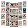 SGOT Set met 24 Anime One Piece Gezochte posters 28,5 × 19,5 cm, nieuwe editie, Luffy Zoro Boa · Hancock poster