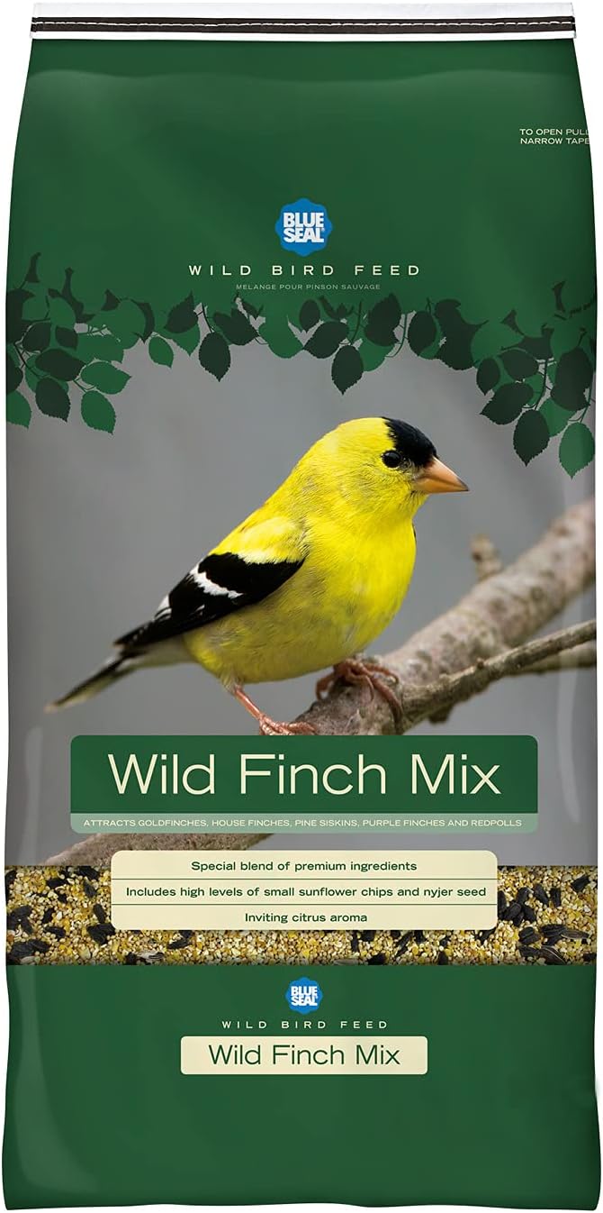 Amazon.com : prdseed Finch Bird Seed, Premium Seeds for Wild Finch Food