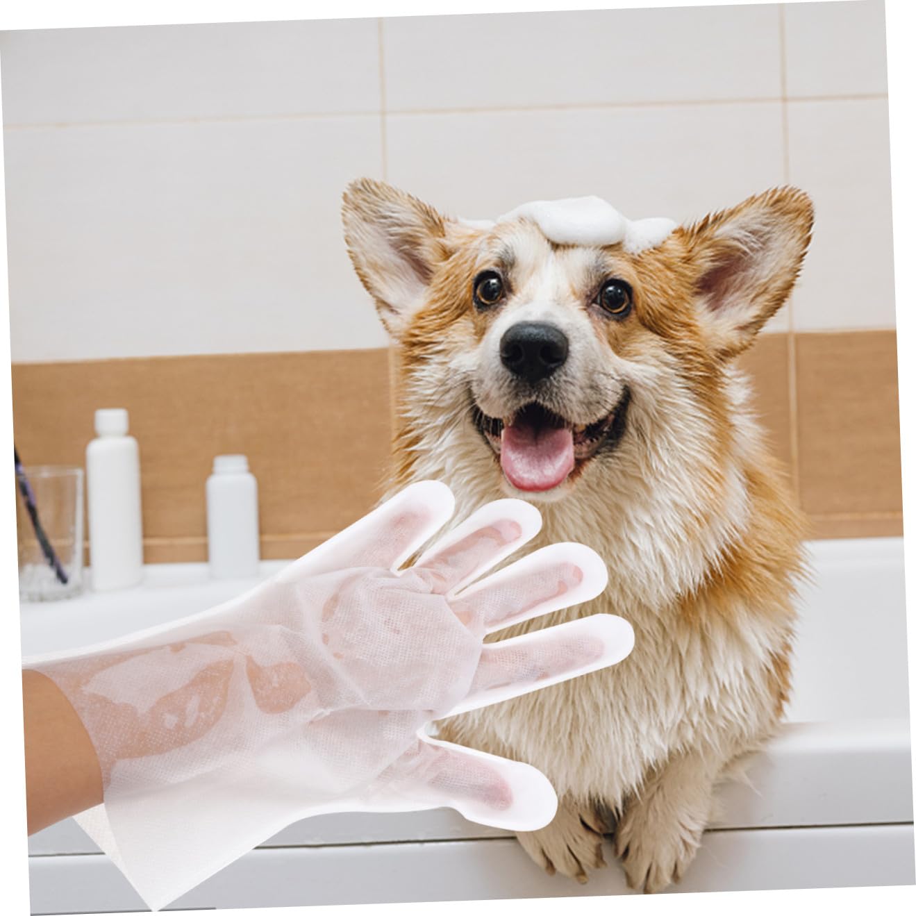 Didiseaon 18pezzi Guanti per Pulizia e Massaggio per Animali Domestici da Non Guanti per Bagno Senza Lavaggio per Gatti e Cani Accessori per Animali Domestici