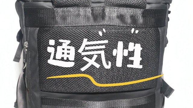 Amazon.co.jp: [AOSLE] リュック メンズ リュック 大容量 通気性