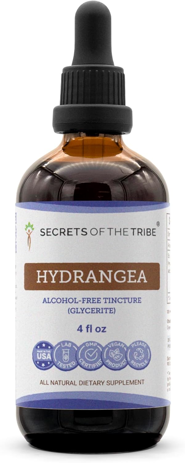 Secrets of the Tribe Hydrangea Tincture Alcohol-Free Liquid Extract, Hydrangea arborescens Dried Root (4 FL OZ)